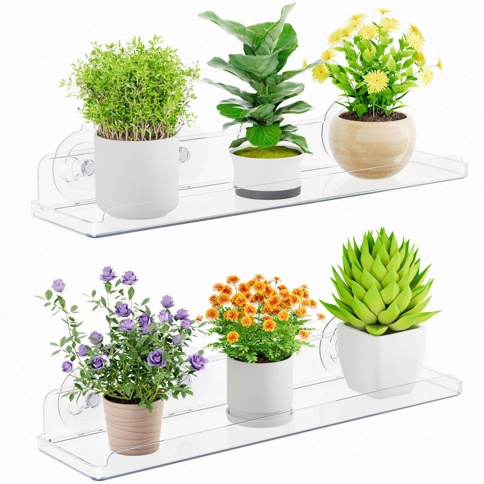 Lifewit Window Plant Floating Shelf 15 Inch, 3 Pack Acrylic Suction Cup Shelves