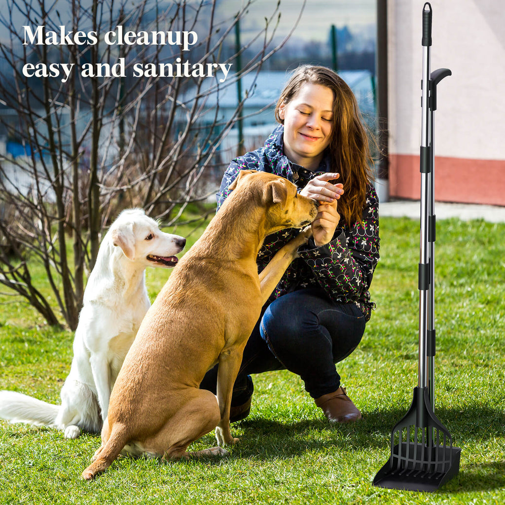 Lifewit Dog Poop Scooper, Long Handle Leaf Rake & Tray for Garden, Yard, Lawn