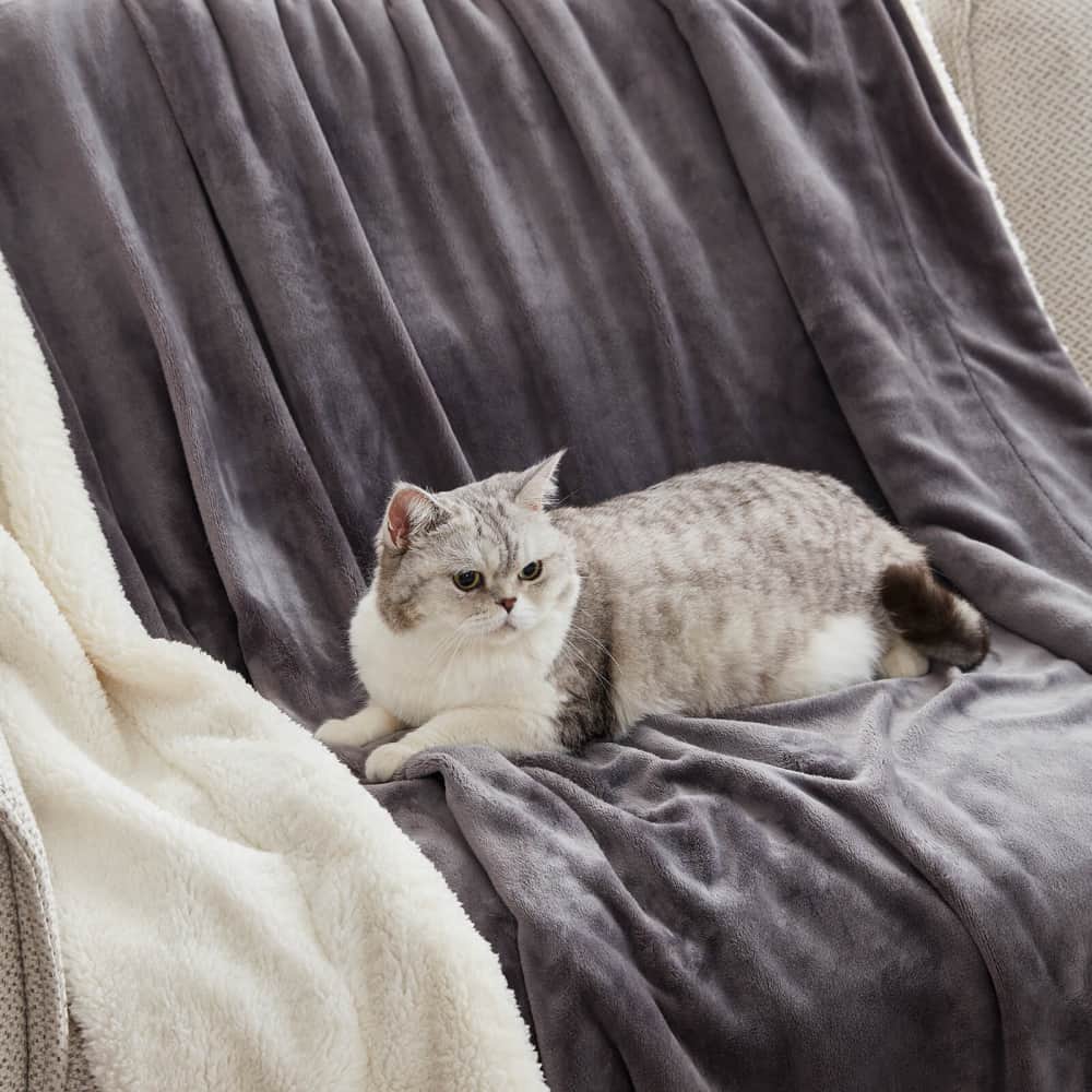 Lifewit Sherpa Throw Blanket, Cozy Fuzzy Fleece Blanket for Outdoor, Travel, Bed, Couch