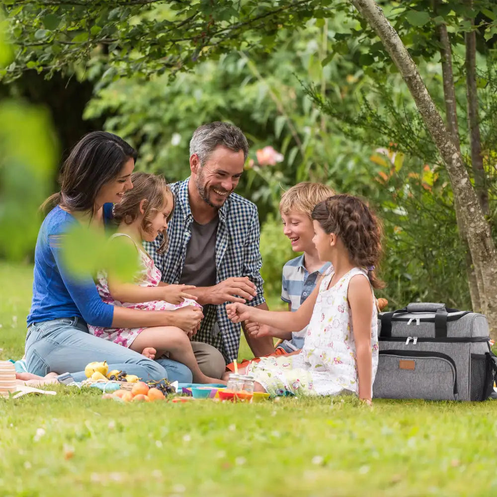 Lifewit Soft Insulated Cooler Tote Bag for Camping, Beach, Picnic
